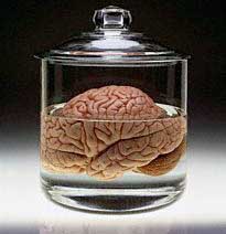 brain-in-a-vat.jpg